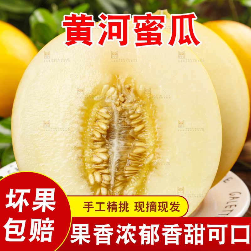 深底上的黄河蜜瓜