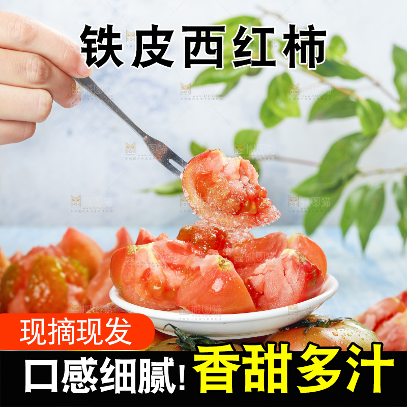 浅底上的铁皮西红柿