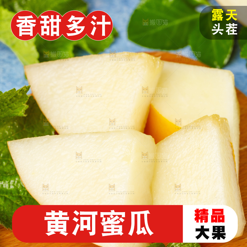 浅底上的黄河蜜瓜