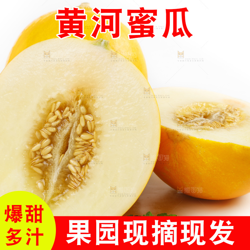 白底上的黄河蜜瓜
