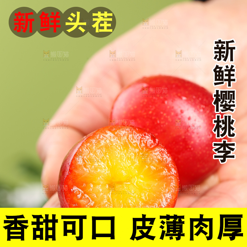 浅底上的樱桃李