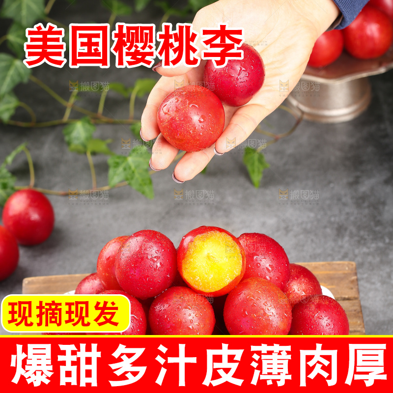 深底上的樱桃李