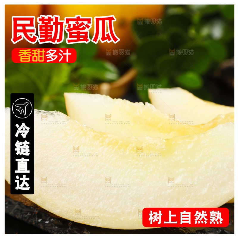 深底上的黄河蜜瓜