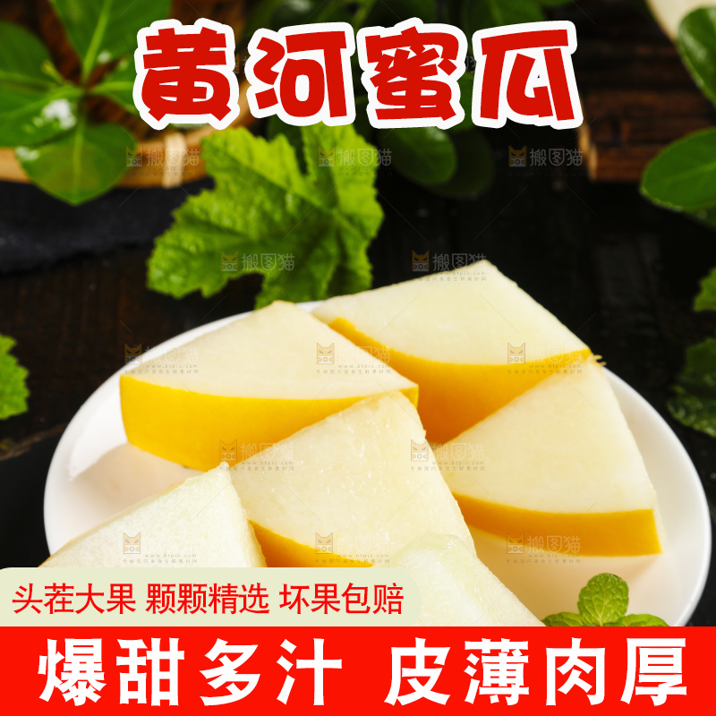 深底上的黄河蜜瓜
