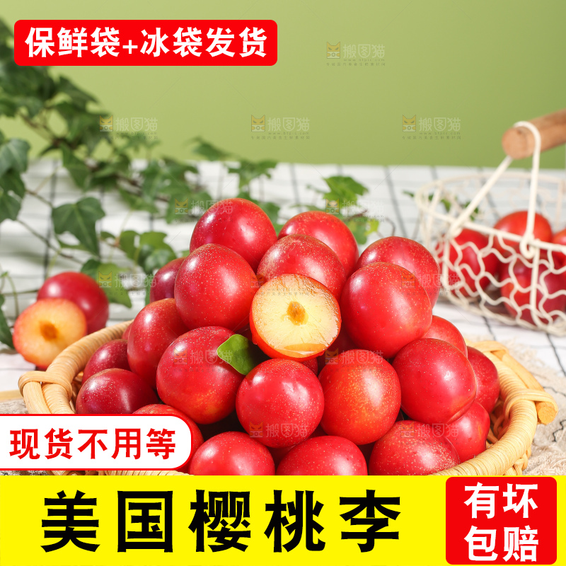 浅底上的樱桃李