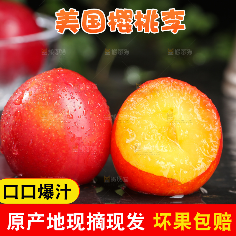 深底上的樱桃李