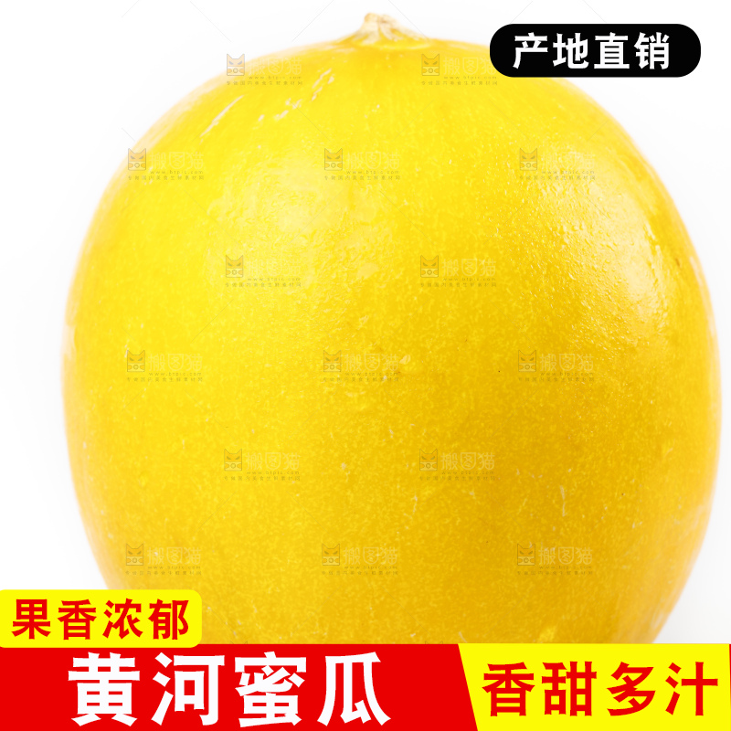 白底上的黄河蜜瓜