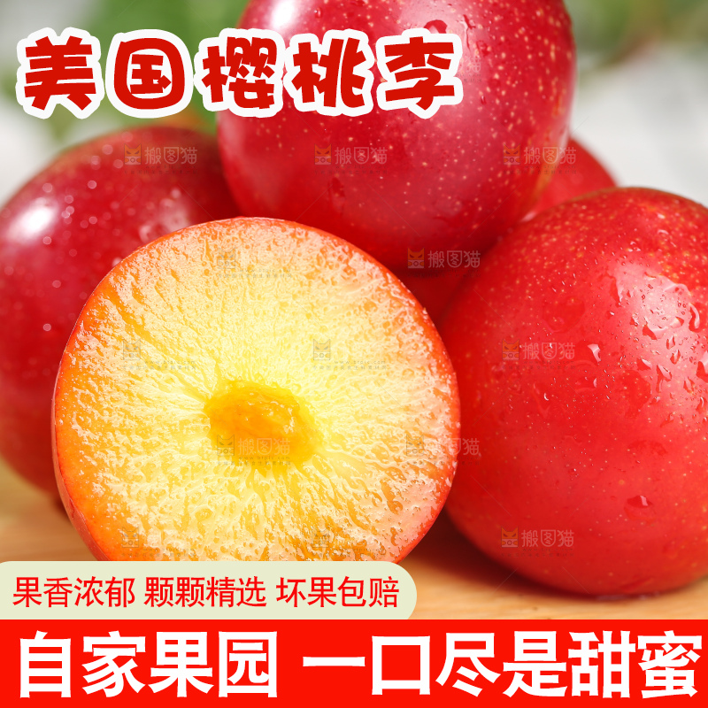 浅底上的樱桃李