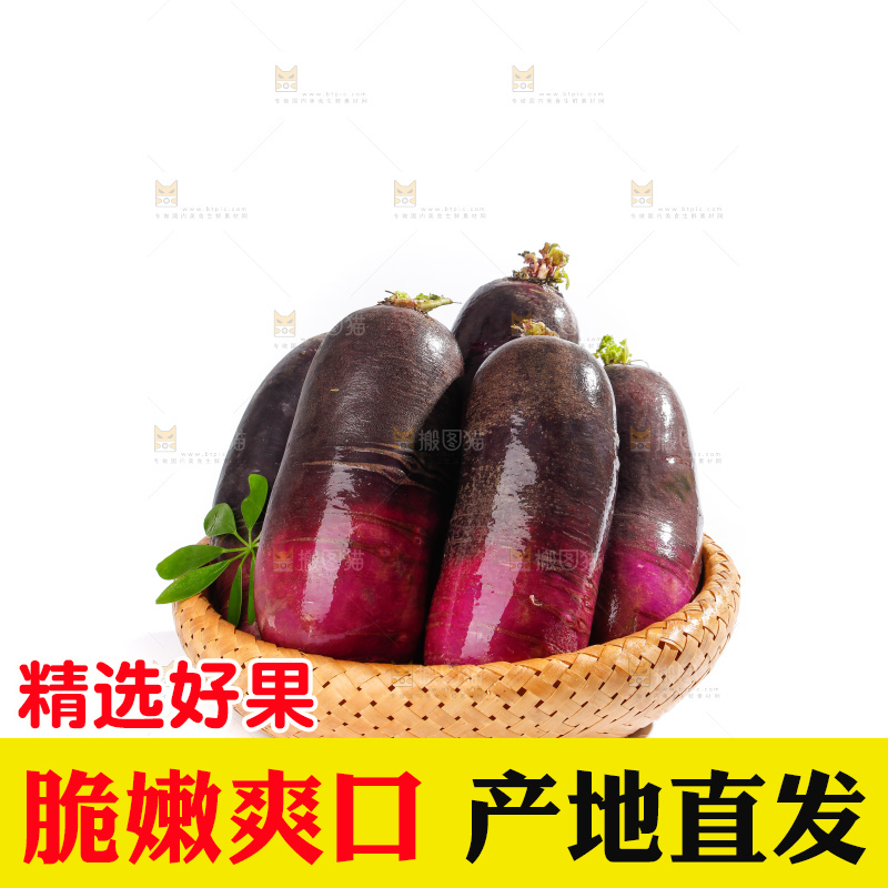 白底上的冰淇凌萝卜