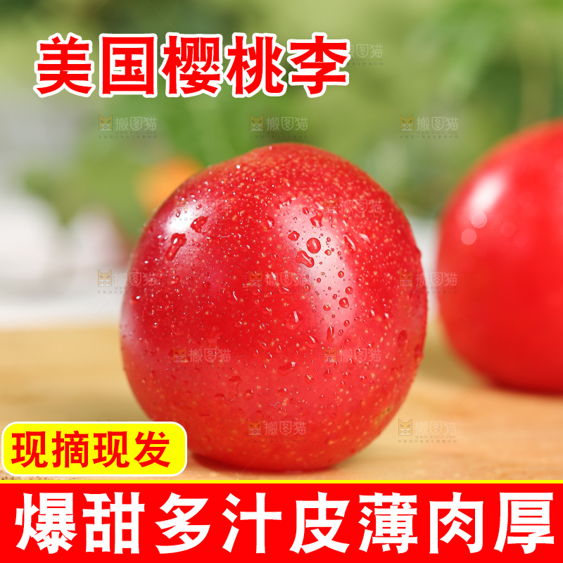 浅底上的樱桃李