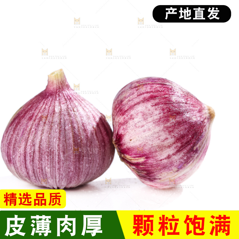 白底上的紫皮独头蒜
