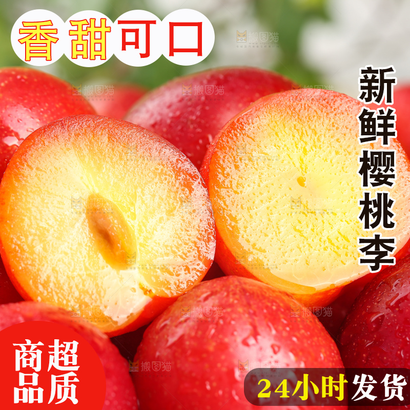 浅底上的樱桃李
