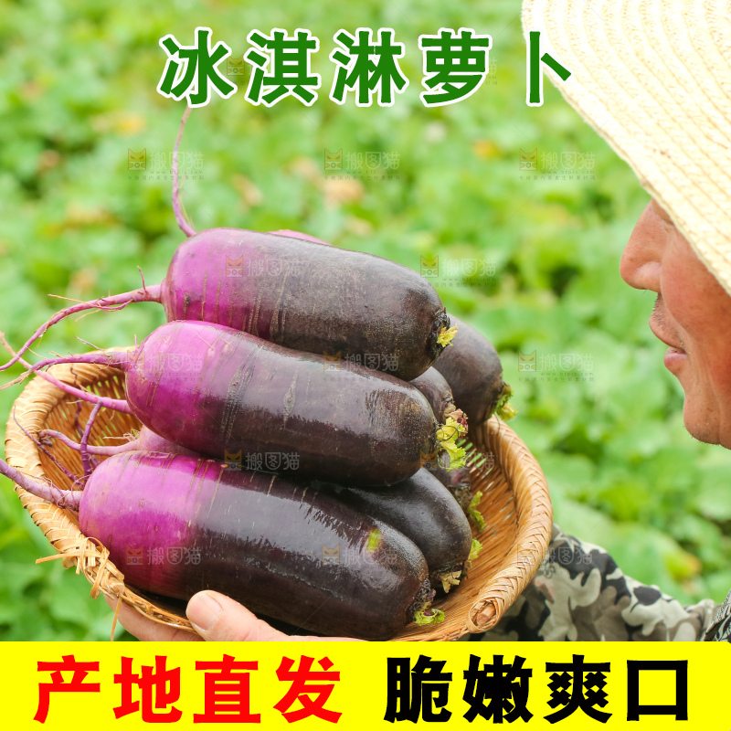 手里拿着冰淇凌萝卜