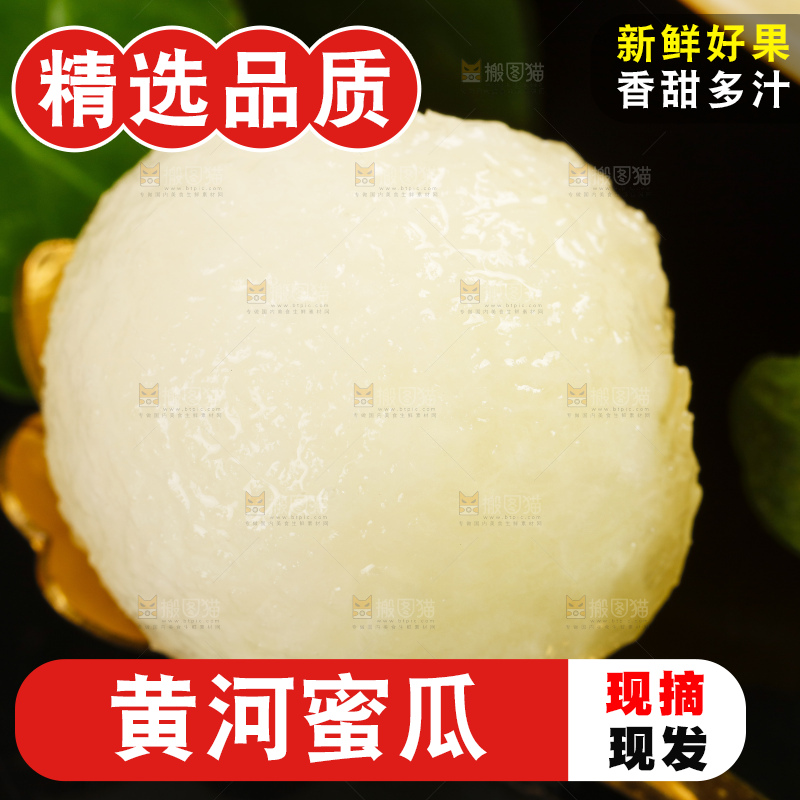 深底上的黄河蜜瓜
