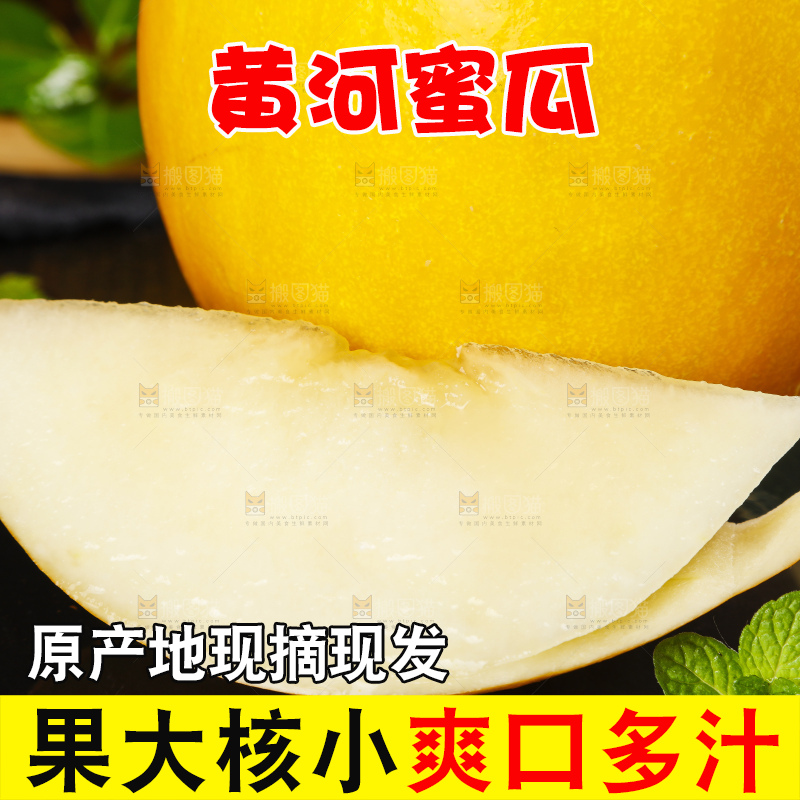 深底上的黄河蜜瓜