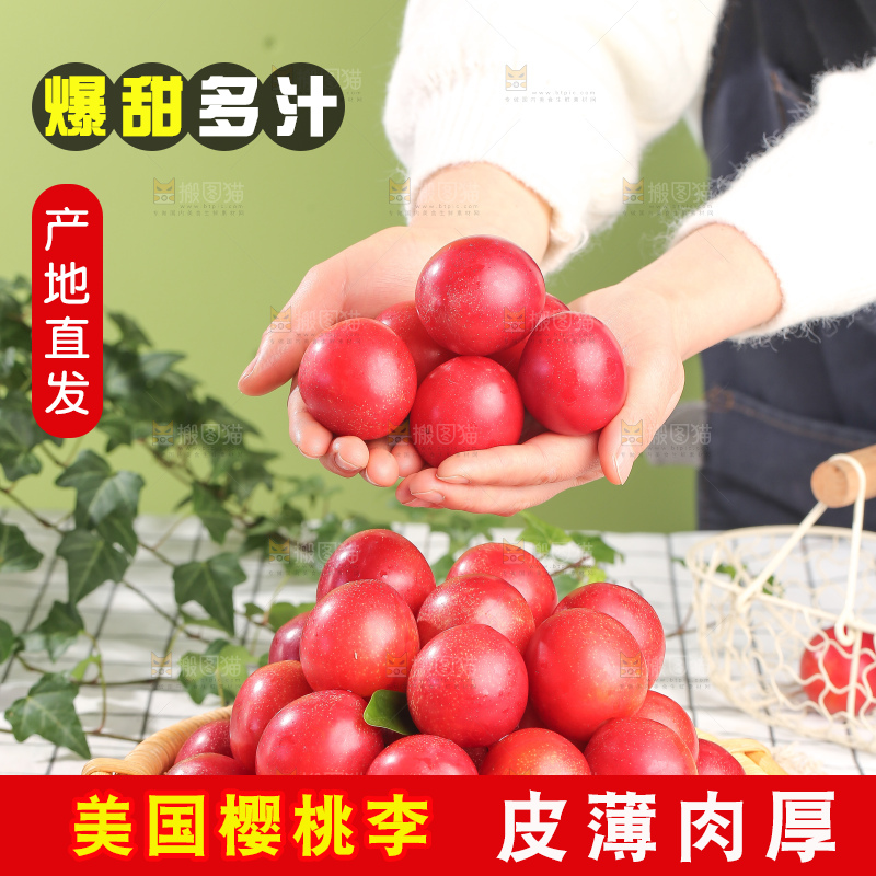 浅底上的樱桃李