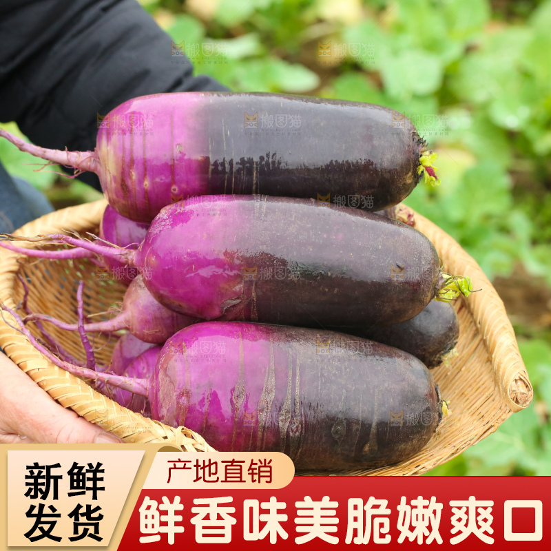 手里拿着冰淇凌萝卜