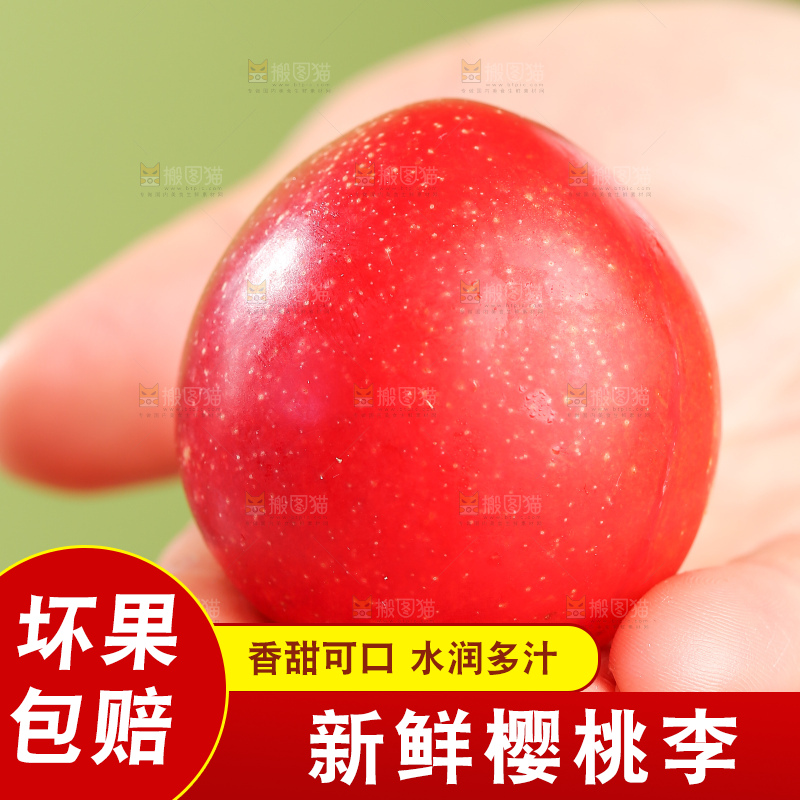 浅底上的樱桃李