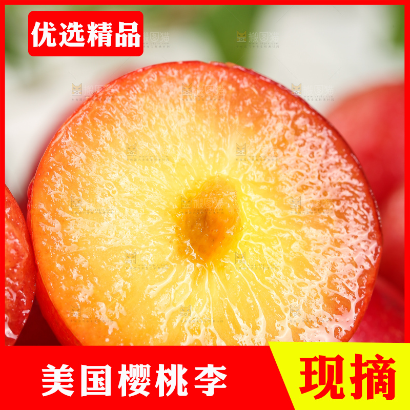 浅底上的樱桃李