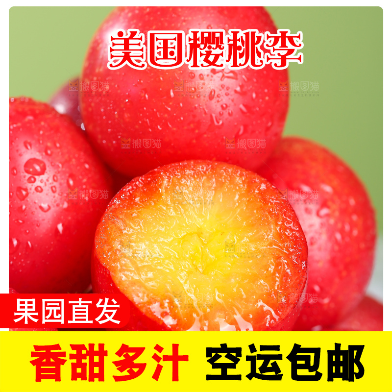 浅底上的樱桃李