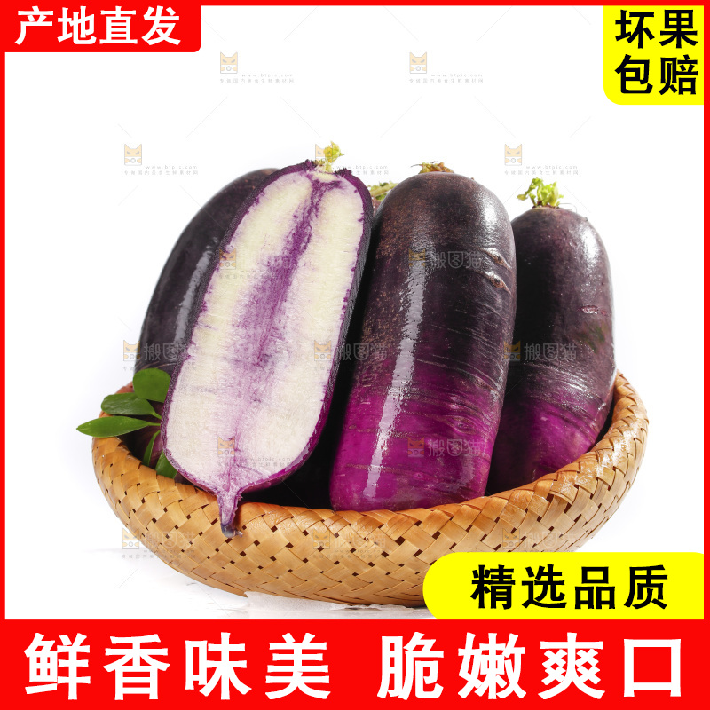 白底上的冰淇凌萝卜