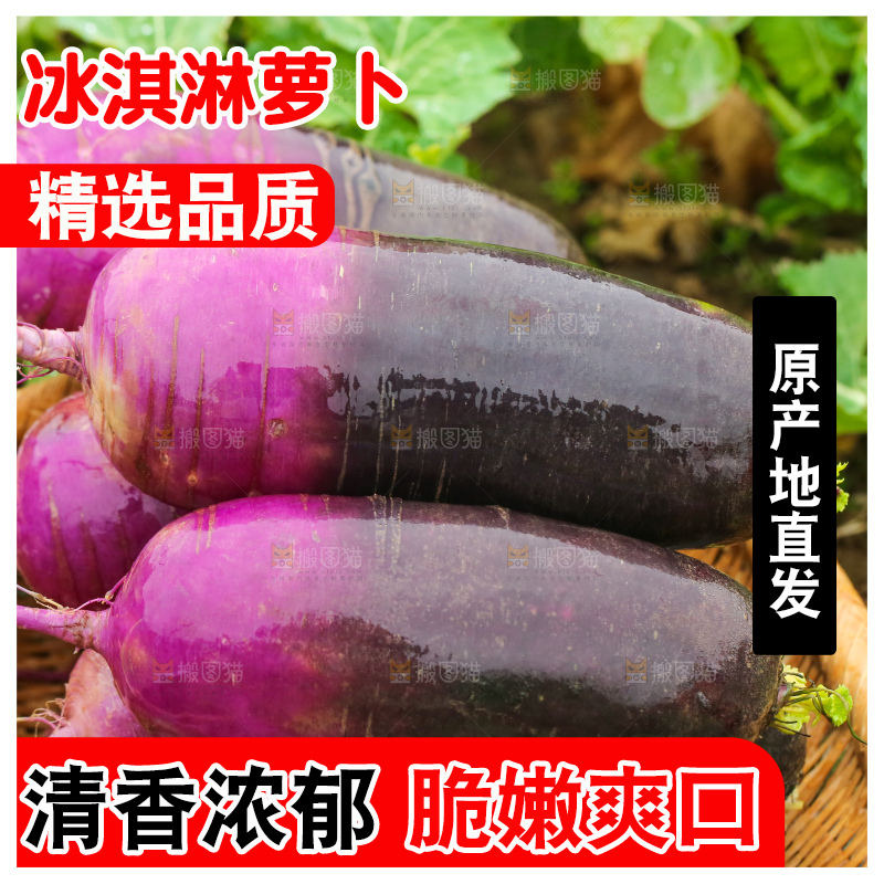 地里的冰淇凌萝卜
