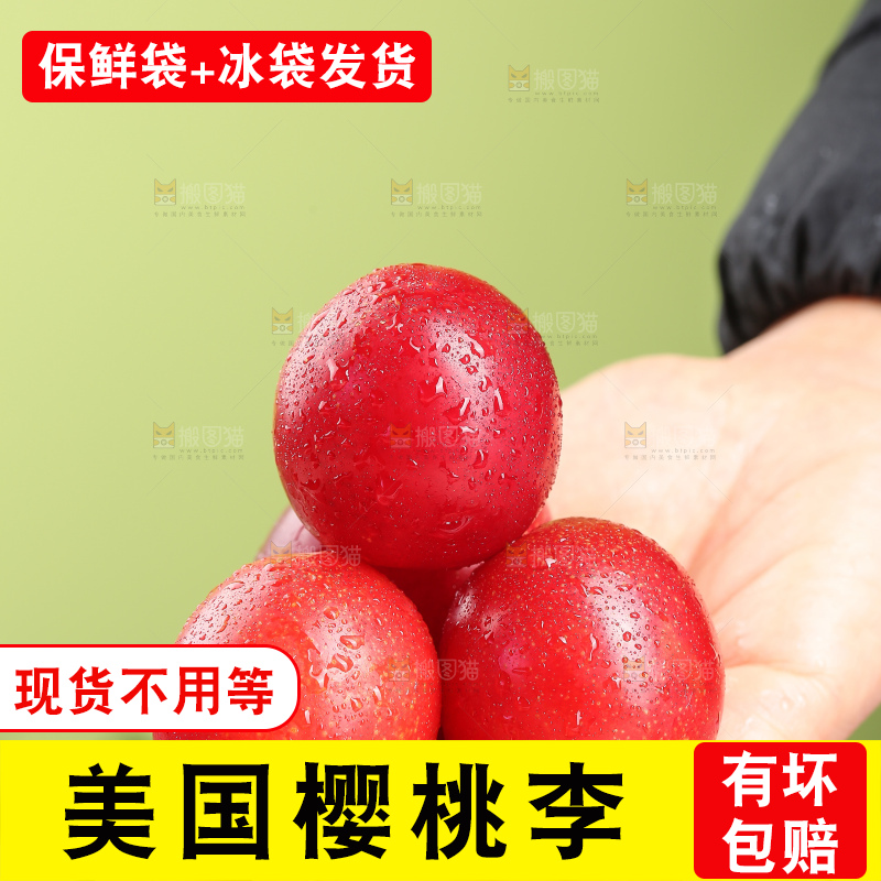 浅底上的樱桃李
