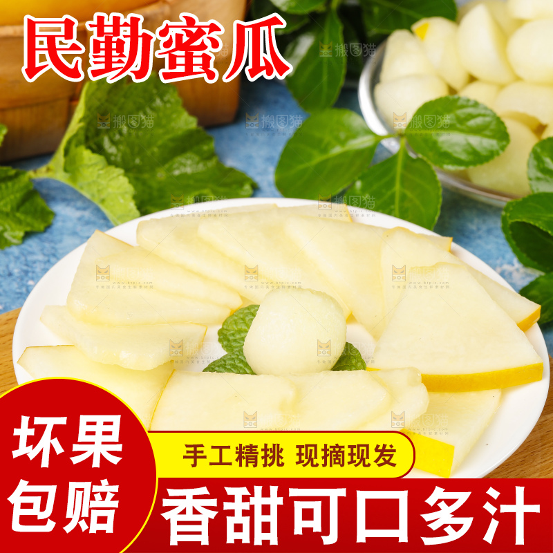 浅底上的黄河蜜瓜