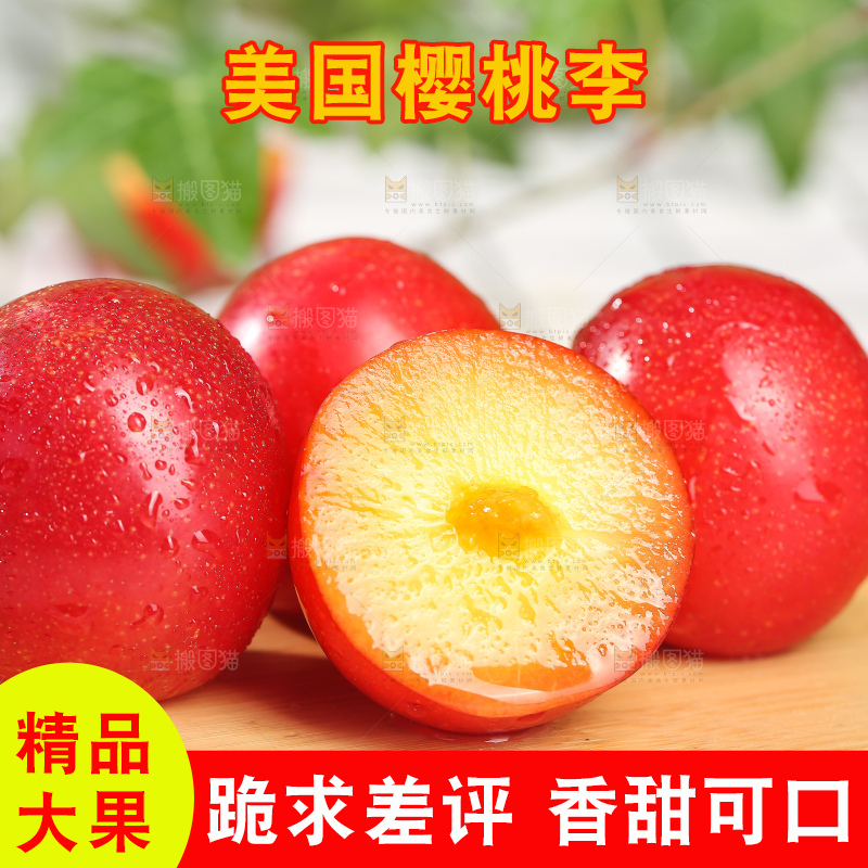 浅底上的樱桃李