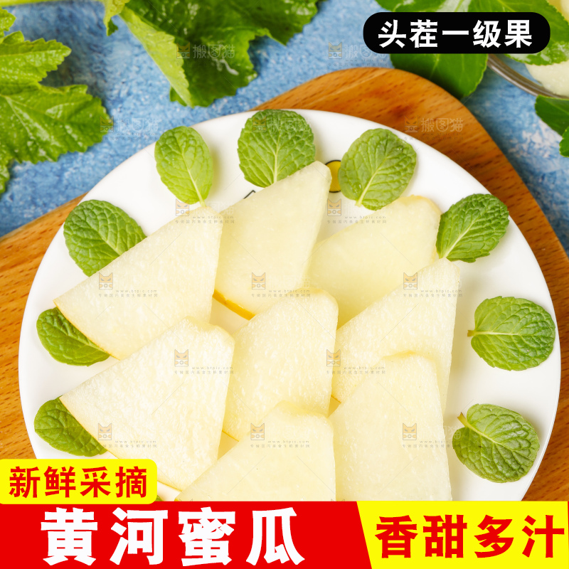 浅底上的黄河蜜瓜