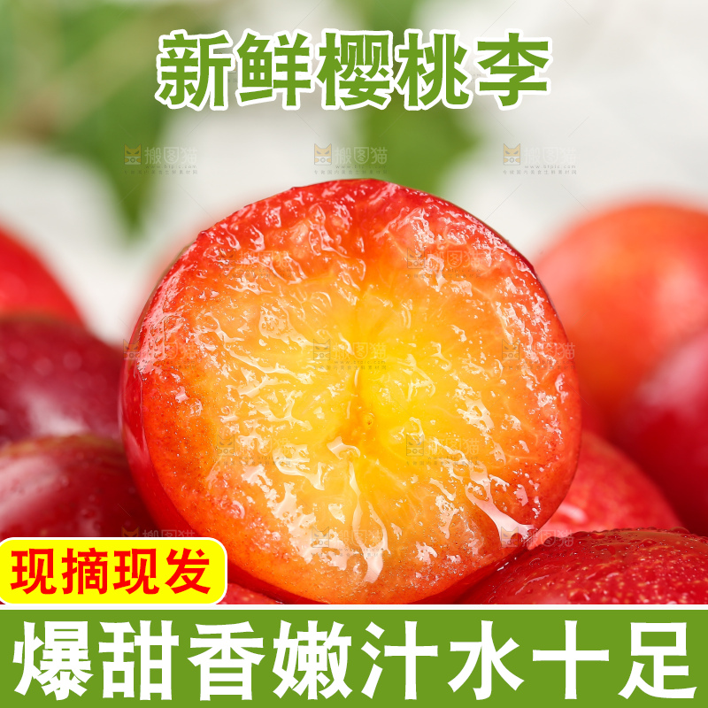 浅底上的樱桃李