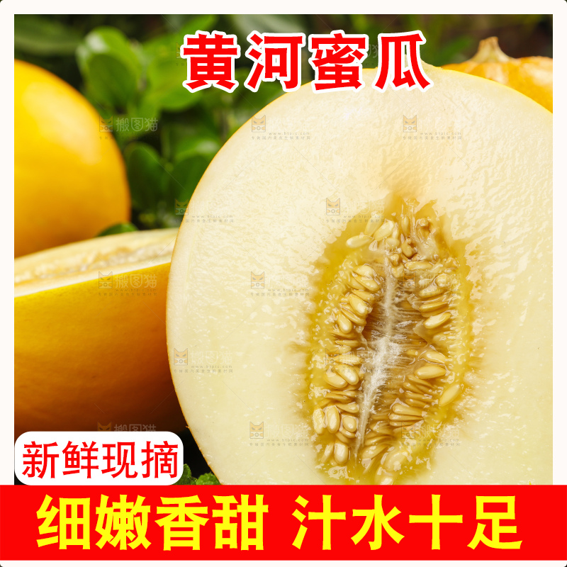 深底上的黄河蜜瓜