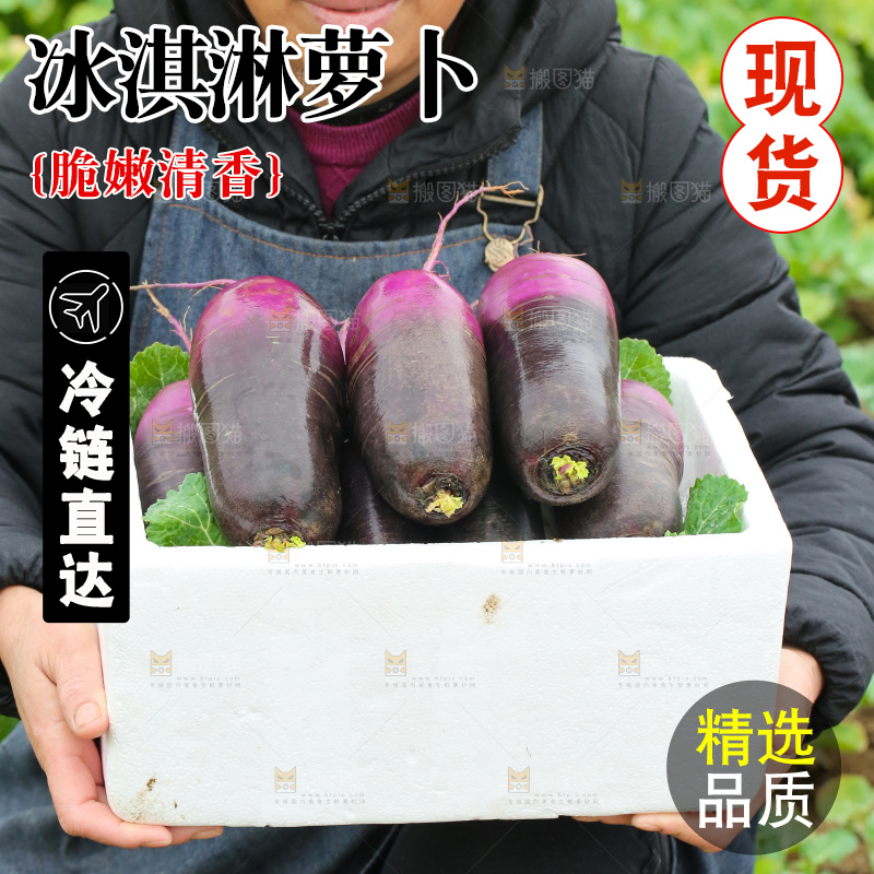 手里拿着冰淇凌萝卜