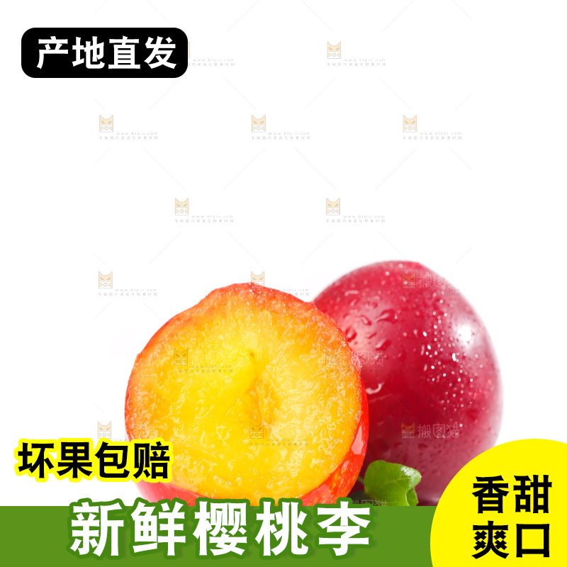 白底上的樱桃李