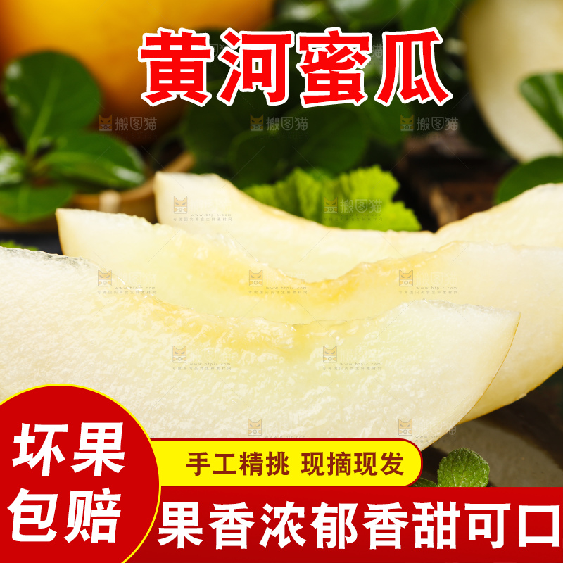深底上的黄河蜜瓜