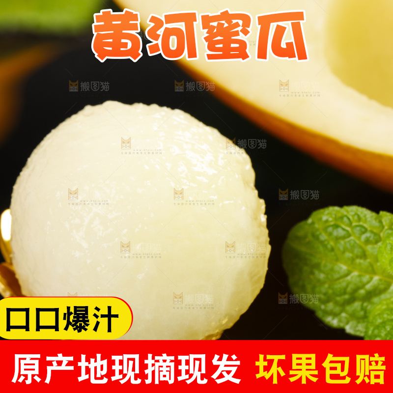 深底上的黄河蜜瓜