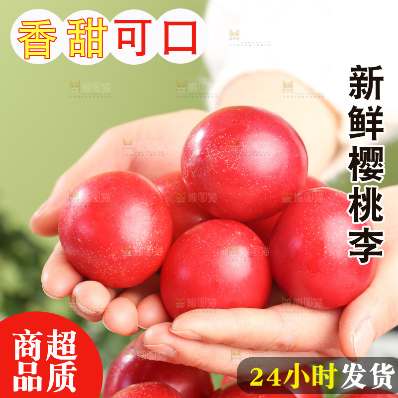 浅底上的樱桃李