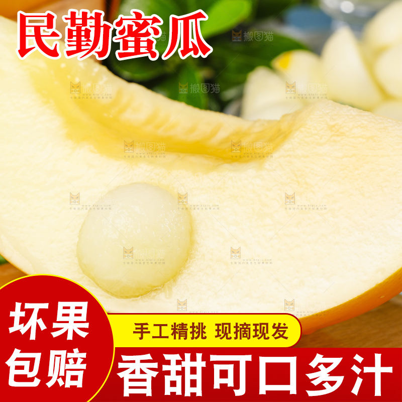 浅底上的黄河蜜瓜