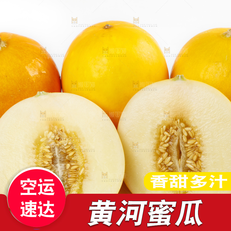 白底上的黄河蜜瓜