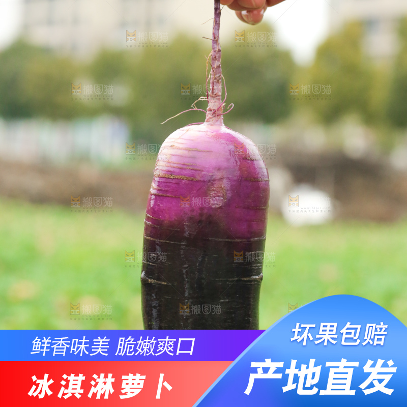 手里拿着冰淇凌萝卜