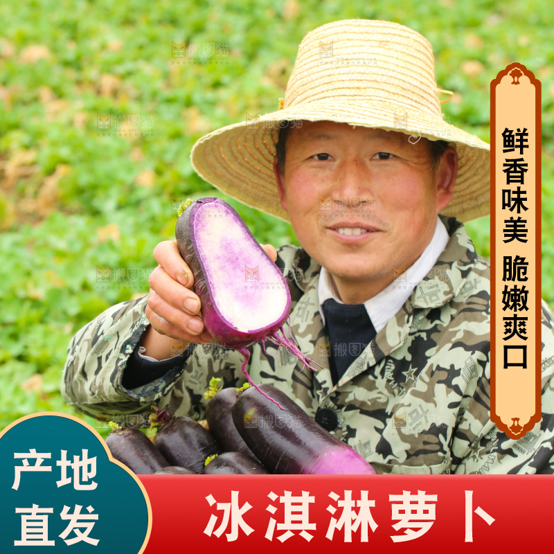 手里拿着冰淇凌萝卜