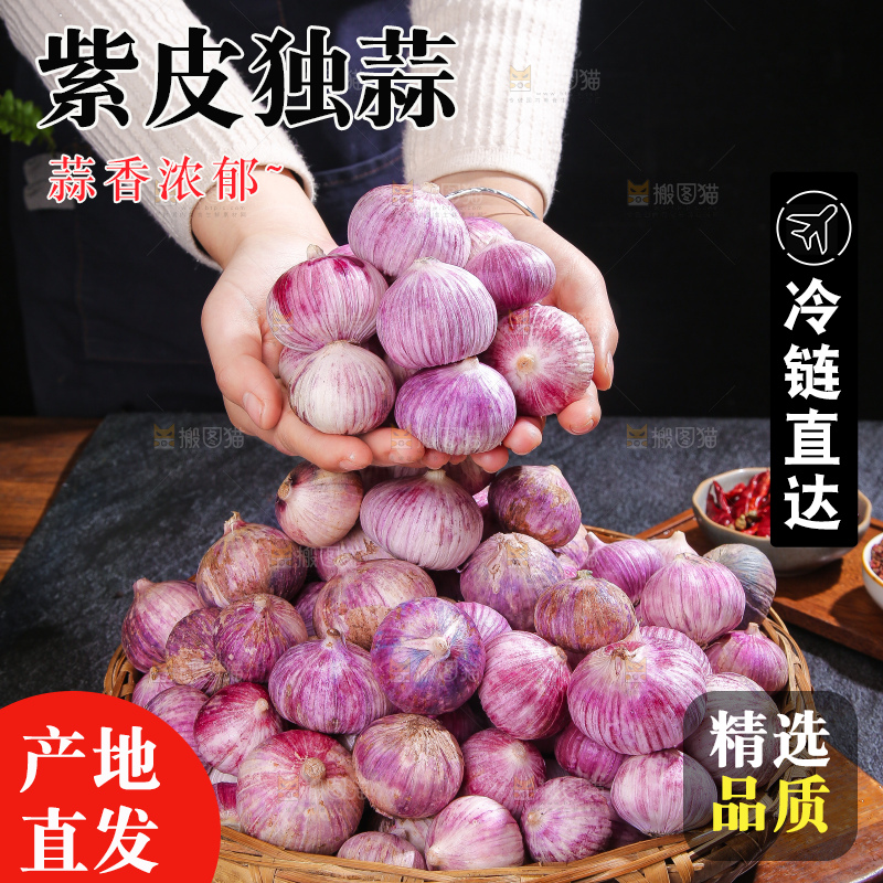 深底上的紫皮独蒜