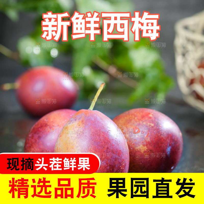 深底上的澳洲西梅