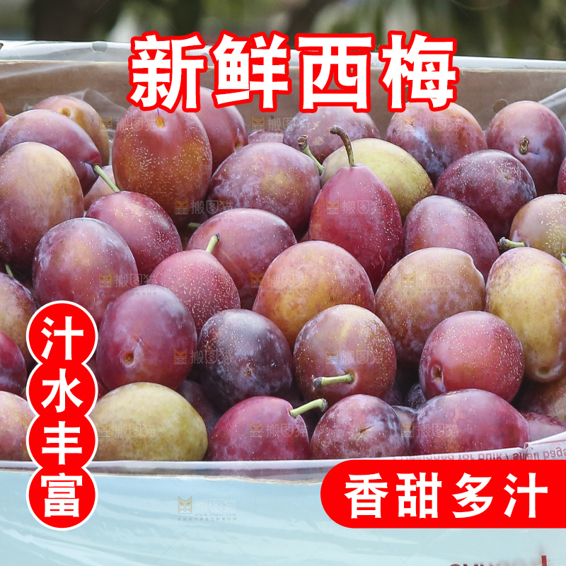 手里拿着澳洲西梅