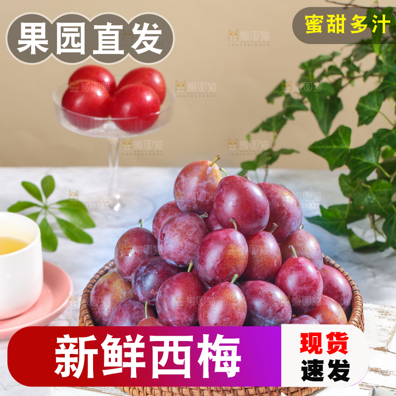 浅底上的澳洲西梅