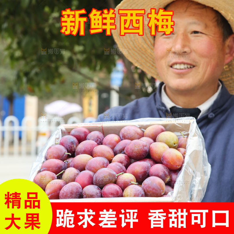 手里拿着澳洲西梅