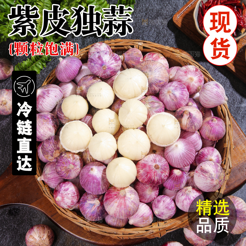 深底上的紫皮独蒜