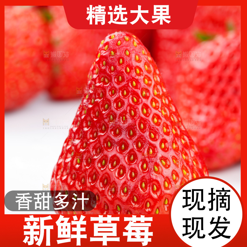 浅底上的丹东草莓