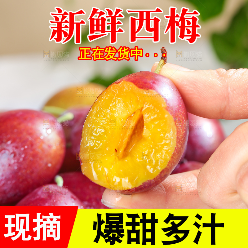 浅底上的澳洲西梅