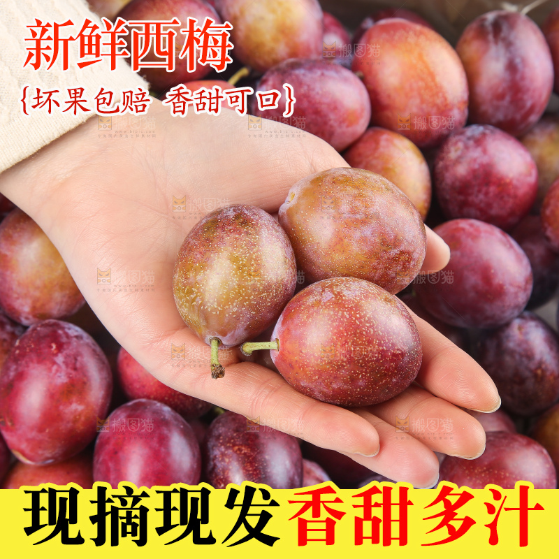 深底上的澳洲西梅